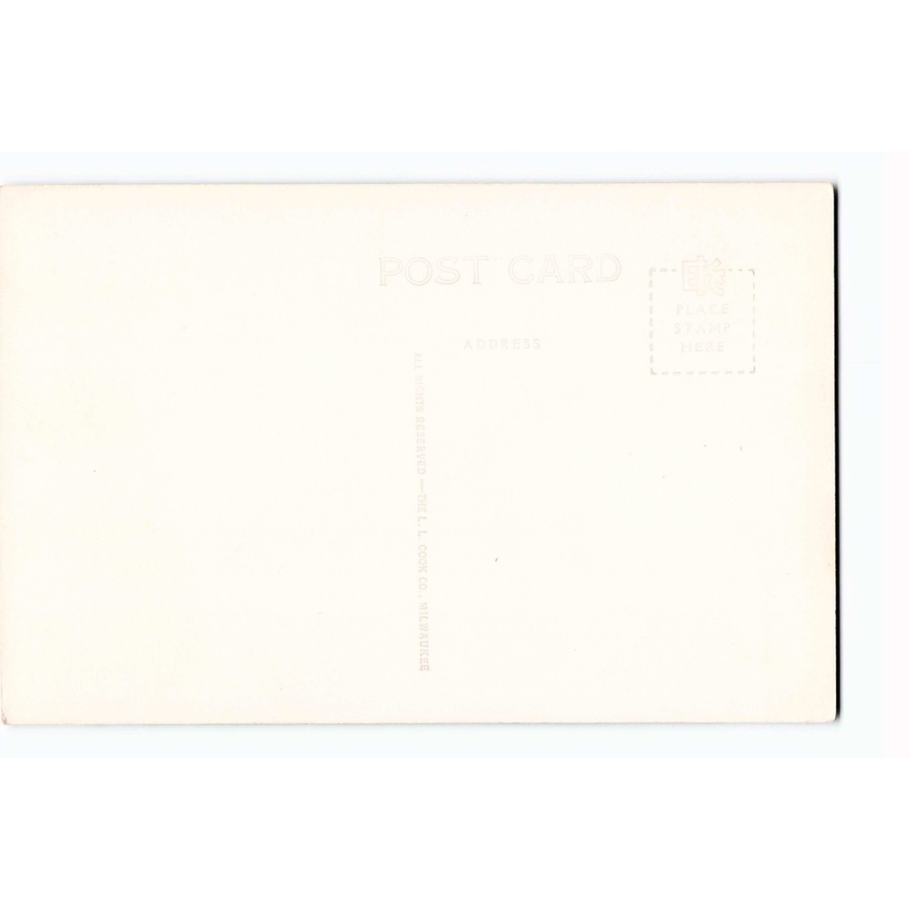 RPPC Immanuel Lutheran Church White Steeple L L Cook M-664 Real Photo Postcard - Picture 2 of 2